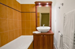 Chalets d'Ax (Ax Les Thermes - Ariege Pyrenees) - Bathroom